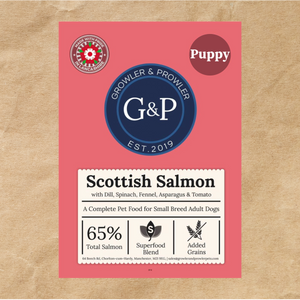 Superfood Puppy - Scottish Salmon