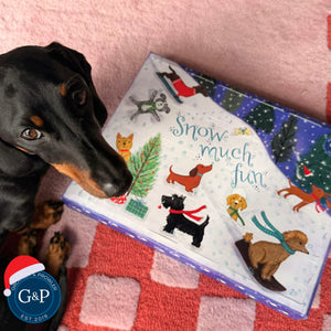 Christmas Dog Advent Calendar