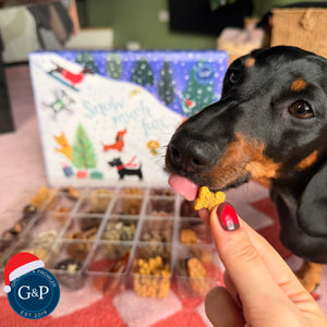 Christmas Dog Advent Calendar