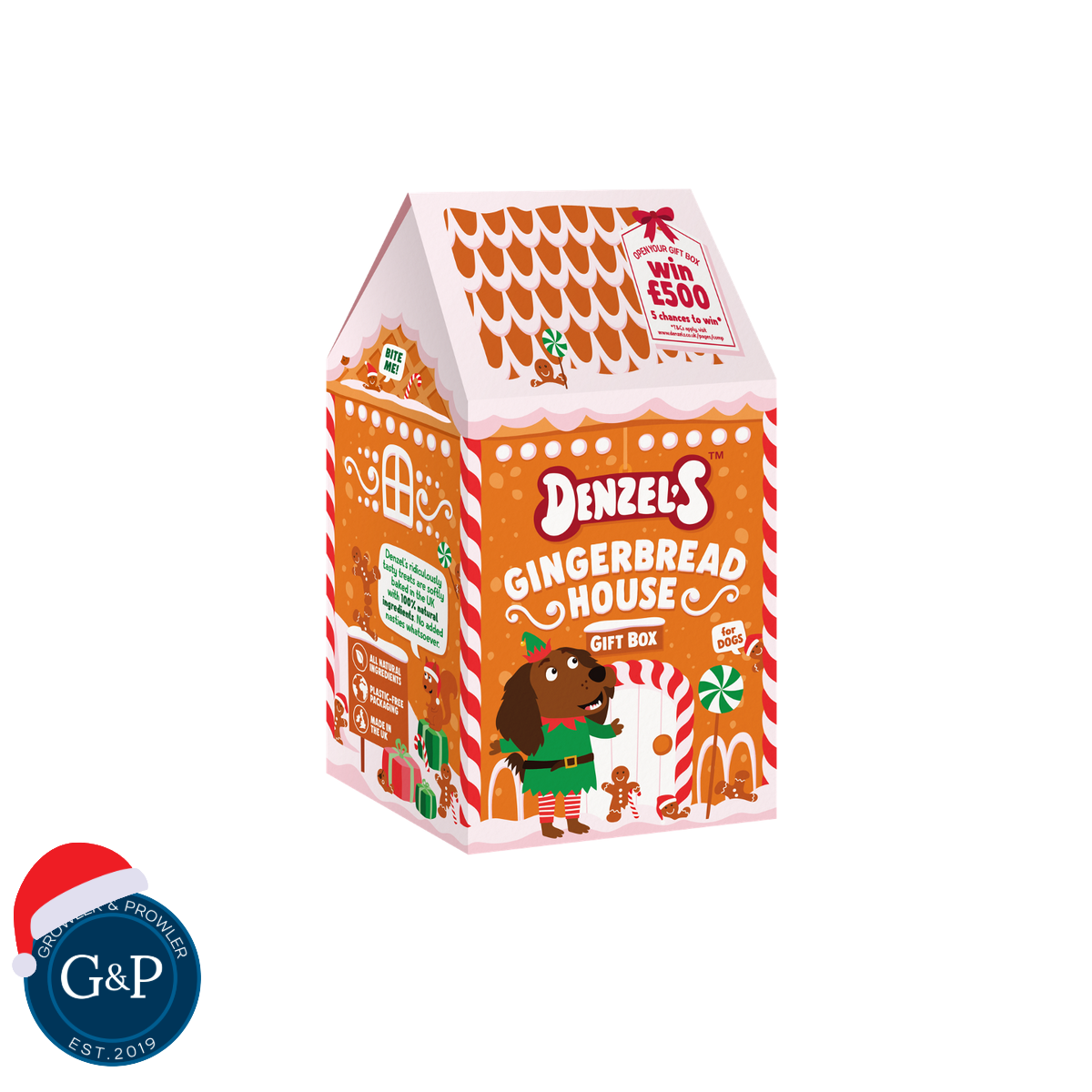 Denzel's Gingerbread House