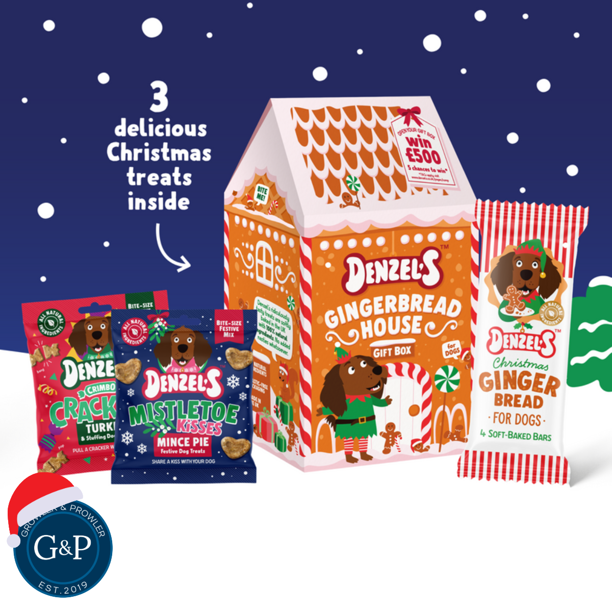 Denzel's Gingerbread House