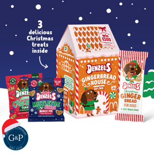 Denzel's Gingerbread House