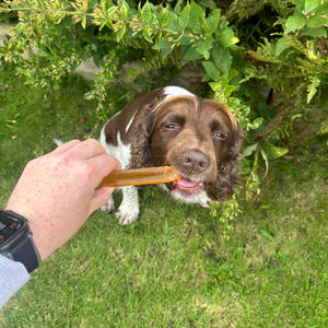 Brothies Beef Broth Chew