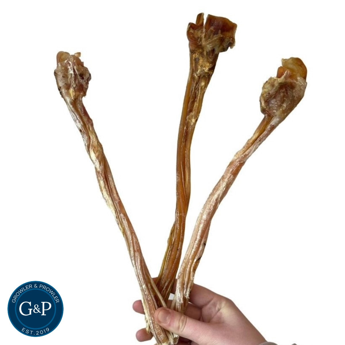 Long ostrich tendon dog treat for dogs, a great chewy robust treat. available in Manchester at Growler and Prowler Pets.