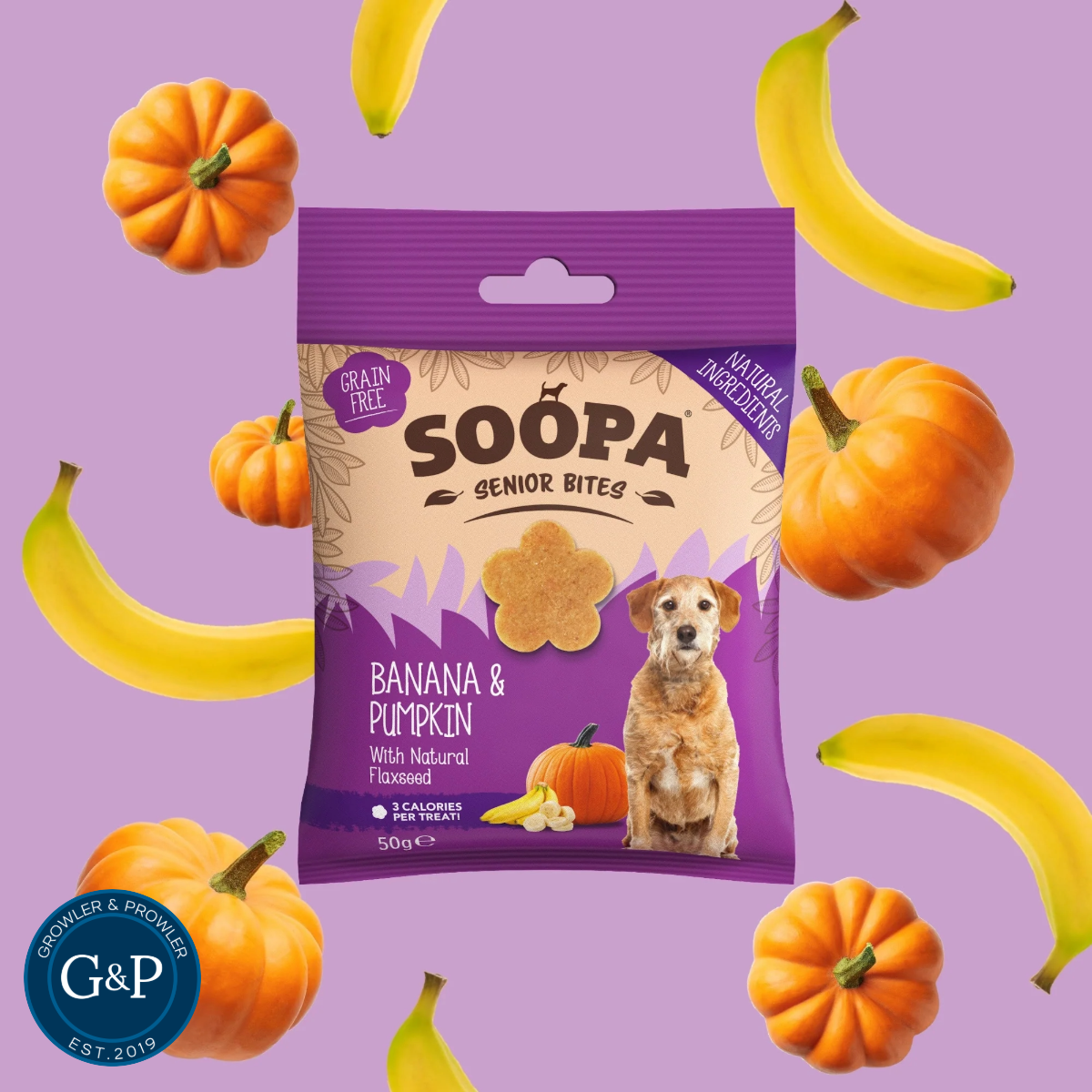 A package of Soopa Senior Peanut Butter & Pumpkin Bites for dogs. The bites are made with natural ingredients and flaxseed, and are low-calorie. The package is surrounded by pumpkins and bananas.