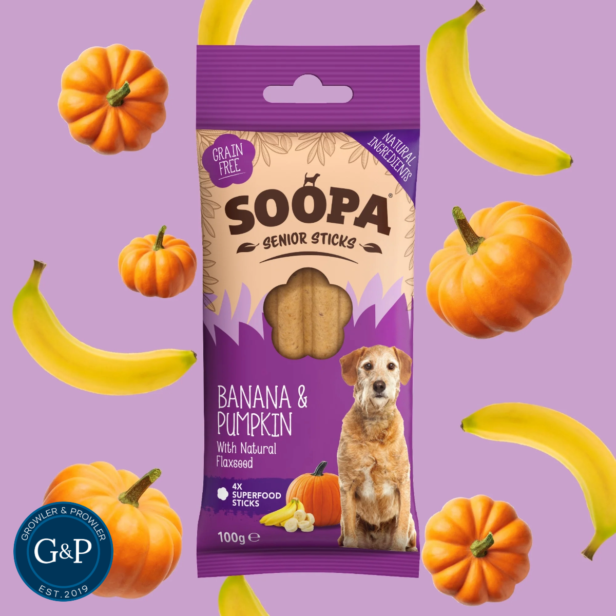 Soopa Senior Peanut Butter and Pumpkin Sticks