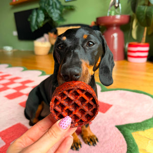 Camel Collagen Waffle