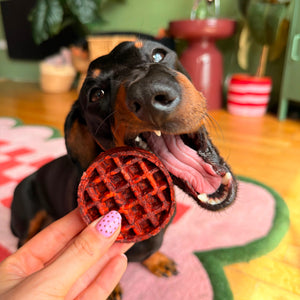 Camel Collagen Waffle