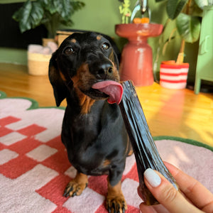 Ziwi Venison Shank Bone Chew