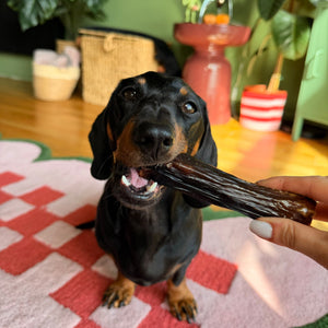 Ziwi Venison Shank Bone Chew