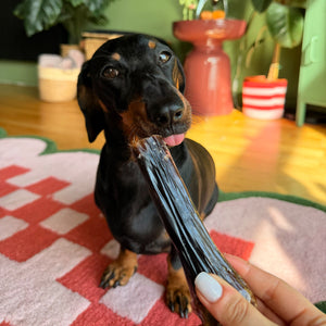 Ziwi Venison Shank Bone Chew
