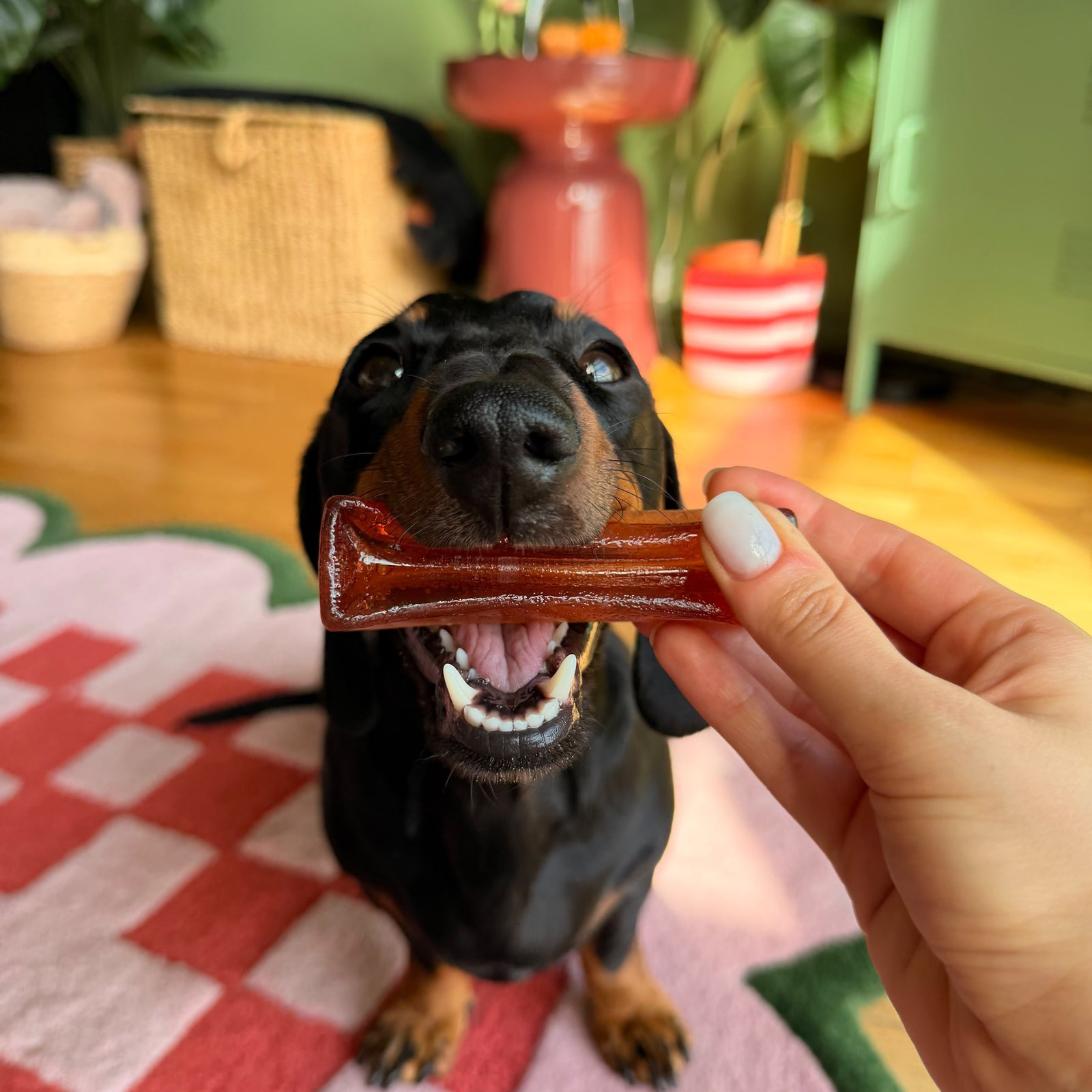 Wonder Bar Bacon