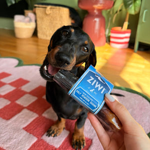 Ziwi Venison Shank Bone Chew