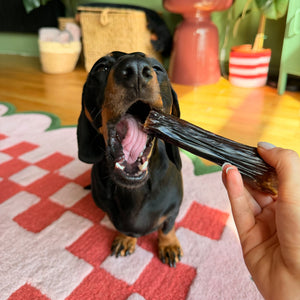 Ziwi Venison Shank Bone Chew