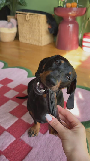 Ziwi Venison Shank Bone Chew