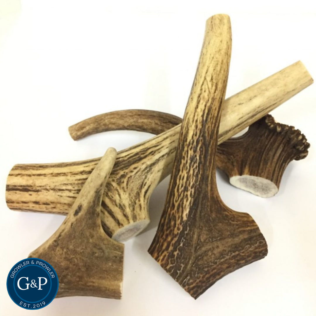 Healthy and durable deer antler chews for dogs, providing a long-lasting and satisfying chew experience.