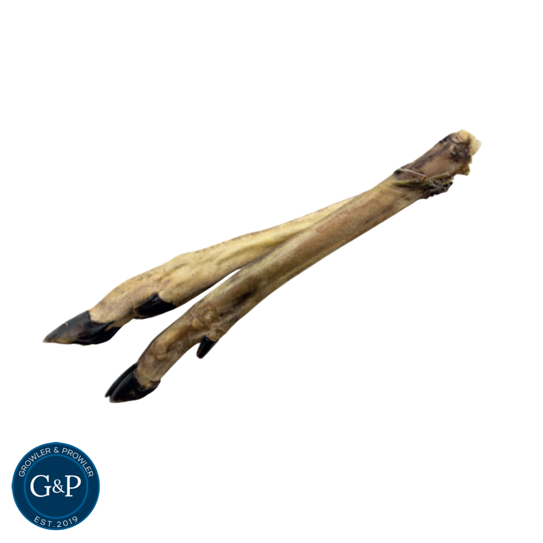 A single, raw roe deer leg bone with hooves attached, sourced from Growler and Prowler, a British pet treat company established in 2019.