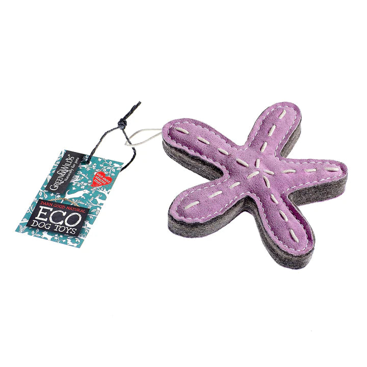 A purple, starfish-shaped dog toy made from eco-friendly materials. The toy has a tag that says 'GREEN&WILD's ECO DOG TOYS'