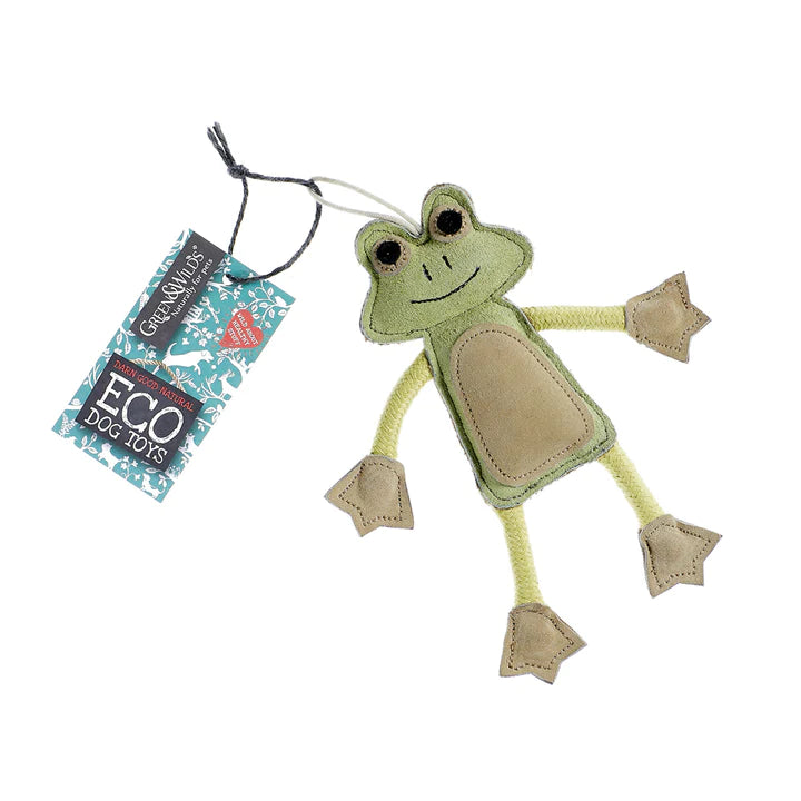 Eco Frog