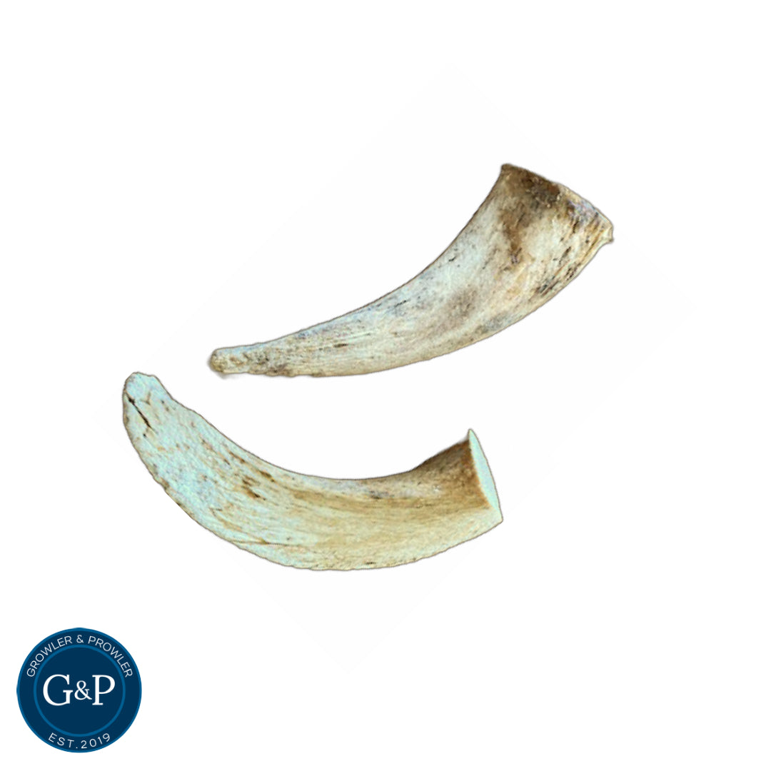 Two natural lamb horn marrow bones from Growler and Prowler, a healthy and long-lasting dog chew.