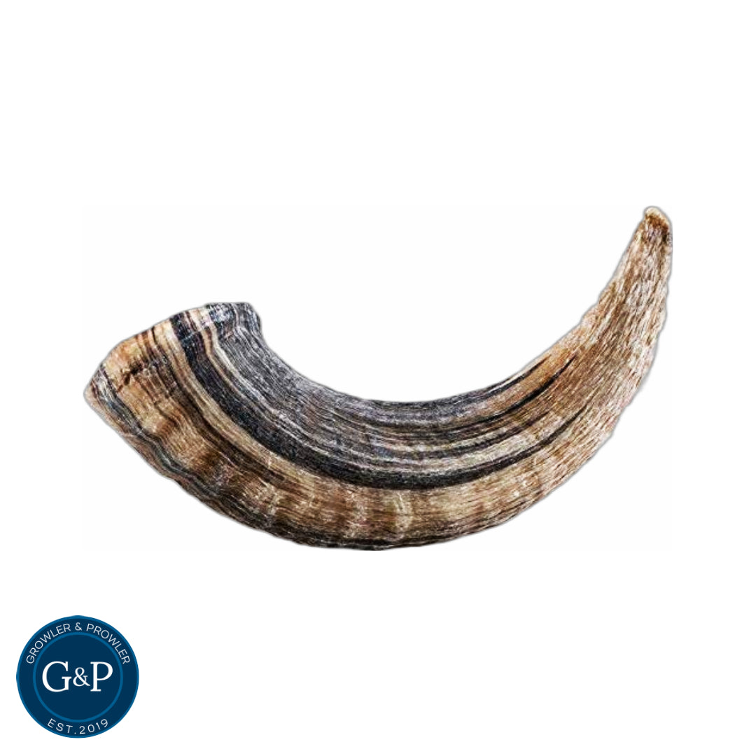 Lamb Horn Dog Chews from Growler & Prowler, a natural dog treat company based in Manchester. These durable chews are made from the horns of lambs and are perfect for keeping dogs entertained and healthy. They can help to clean teeth, reduce plaque and tartar, and provide mental stimulation.