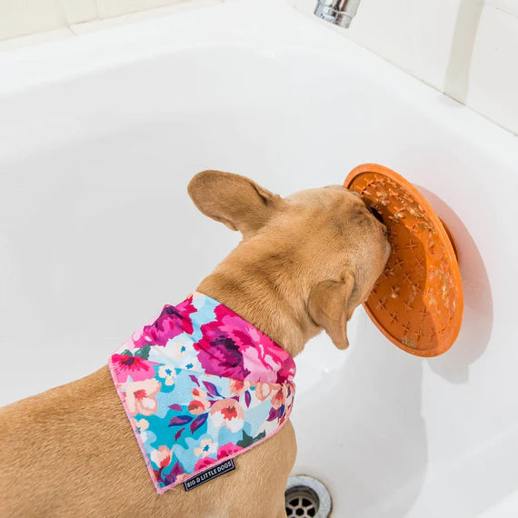 LickiMat Splash is the perfect distractor for grooming and bathing.  Also perfect for vertical surfaces.  