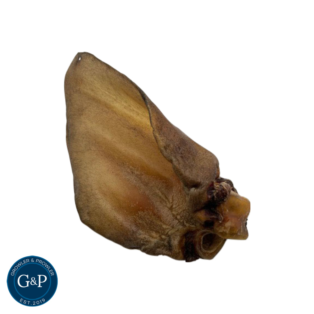 Extra-large buffalo ear dog chew from Growler & Prowler, a British dog treat company.
